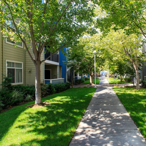 Explore the neighborhood around Watermark Place in Fremont, California