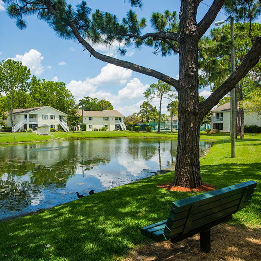 Serene water views and lush landscaping at Park Place Apartments in Port Richey, Florida.