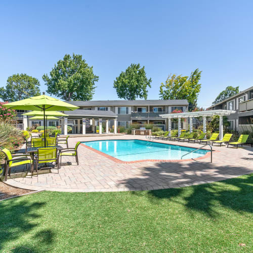 Outdoor swimming pool and courtyard lawn at Pinebrook Apartments in Fremont, California