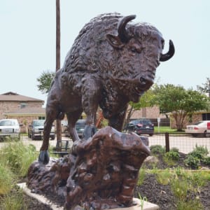 Statue of a buffalo outside of the apartments at Buffalo Ridge in Princeton, Texas