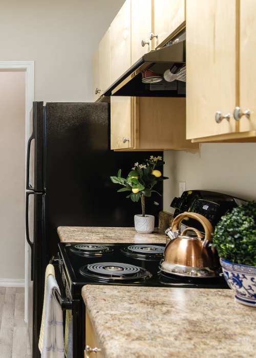 Black kitchen appliances at Villages of Cross Creek in Rogers, Arkansas