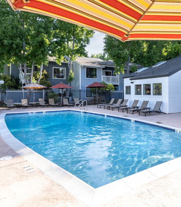 Swimming pool at Amber Court in Fremont, California