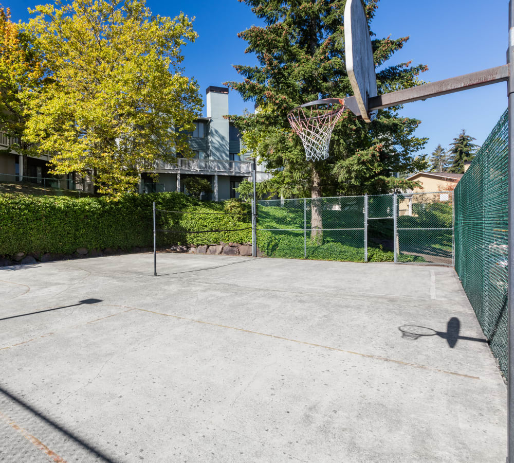 Basketball court at The Knoll Redmond in Redmond, Washington