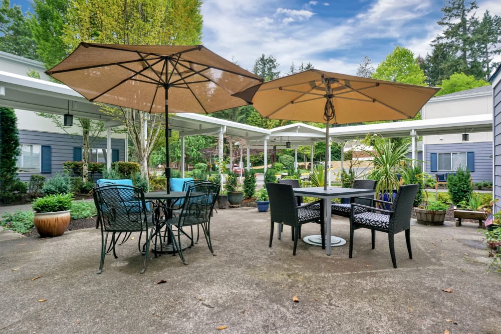 Sunny umbrella outdoor seating at Mountlake Terrace Plaza in Mountlake Terrace, Washington