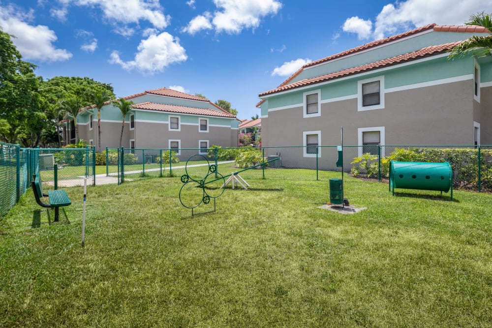 Dog park onsite at The EnV in Hollywood, Florida