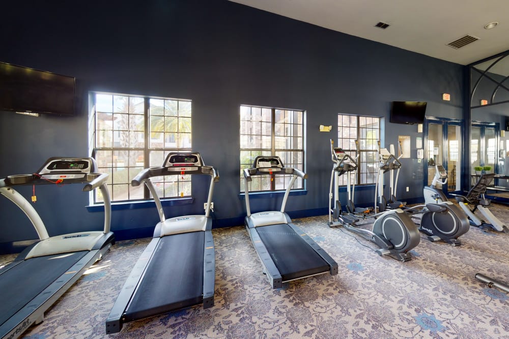 Fitness center with large windows and natural lighting at The Hawthorne in Jacksonville, Florida