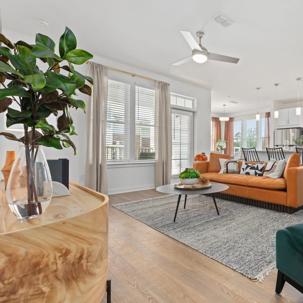 Spacious apartment with large windows at Archer at Brookhill in Charlottesville, Virginia