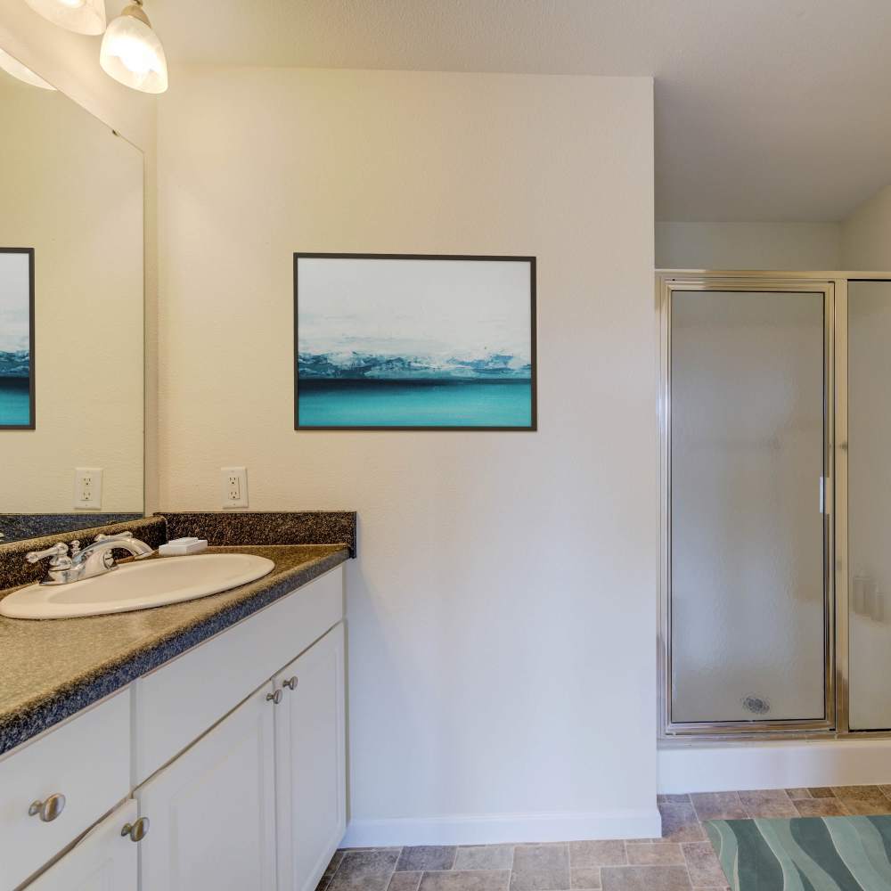 Modern bathroom retreat featuring a stylish granite countertop and serene ocean artwork at Boulder Springs in Maryland Heights, Missouri.