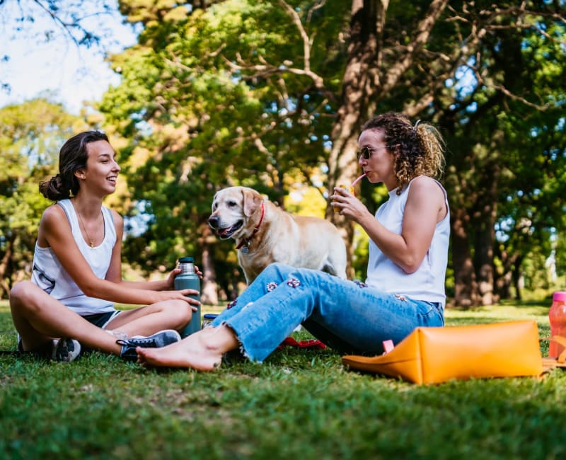 Residents having a picnic with their dog near Spice Creek in San Antonio, Texas