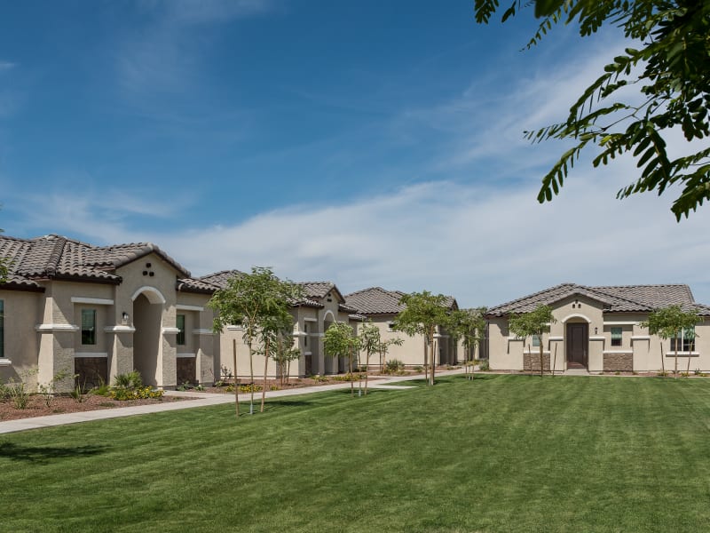 Beautiful, tranquil lawn at TerraLane on Cotton in Surprise, Arizona