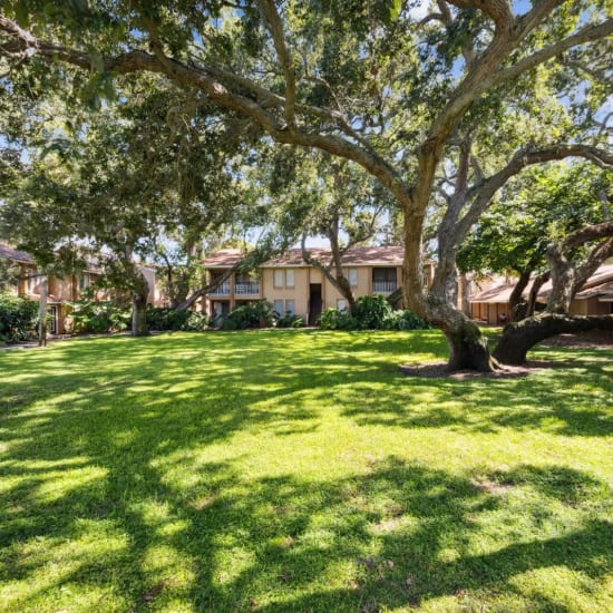 Sunny grounds at The Morgan in St Petersburg, Florida