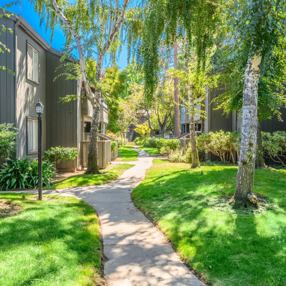 Exterior at Vista in San Jose, California