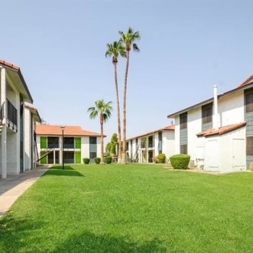 Grass area between apartment buildings at Mesa Station Apartments in Mesa, Arizona