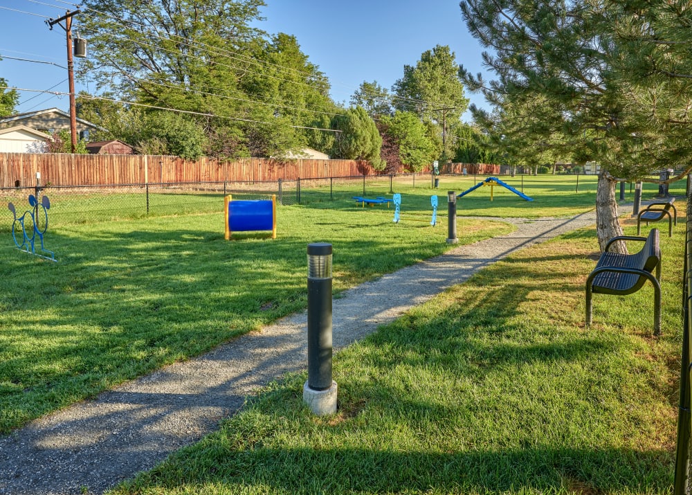 Off-Leash Dog Park with Toys