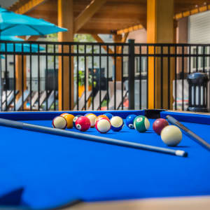 Shopping and Entertainment near The Chase at Overlook Ridge in Malden, Massachusetts