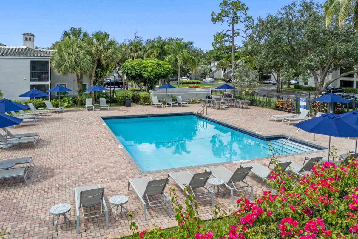 Swimming pool with canopy at Stella Boca Raton Apartments, Boca Raton, Florida