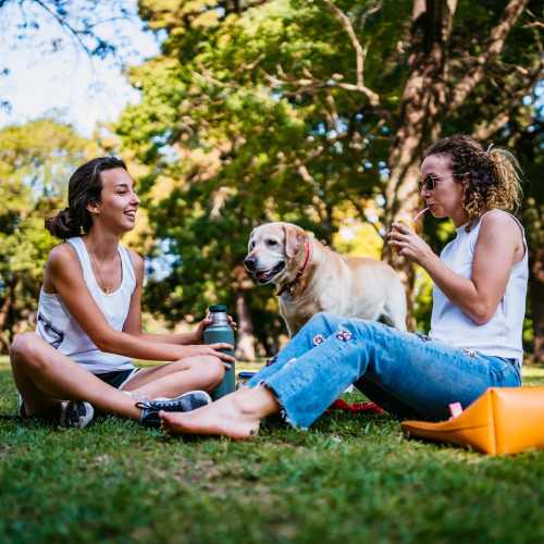 Residents in a park at Meribel in Weaverville, North Carolina