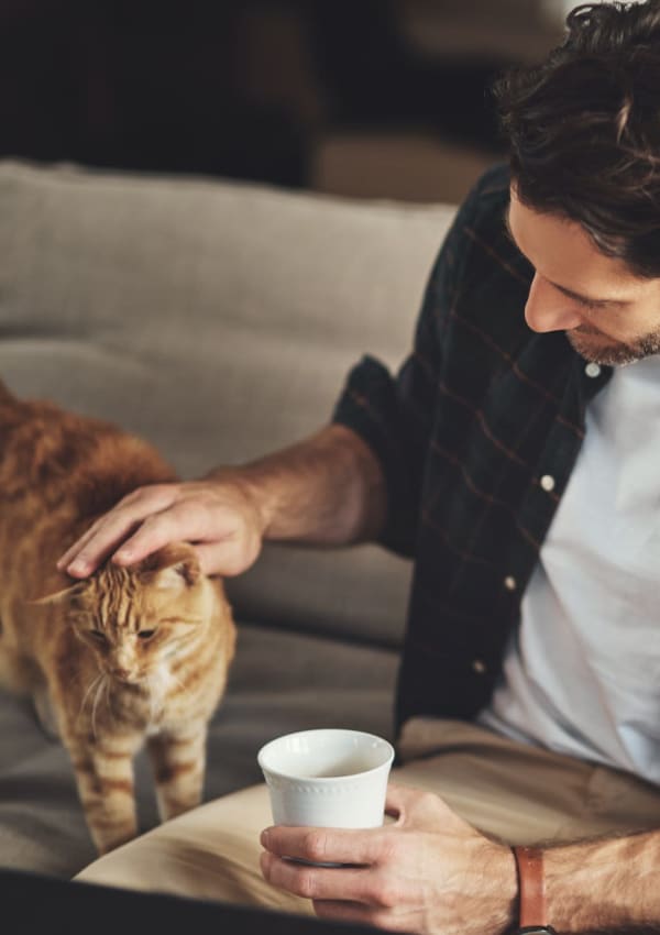 Pet-friendly apartments at The Retreat at Thousand Oaks, Thousand Oaks, California