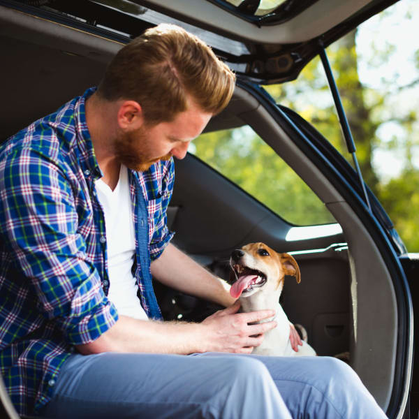 Pet friendly apartments in Irving