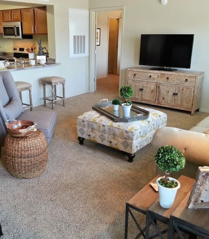 Carpeted living room at The Icon at Lubbock in Lubbock, Texas