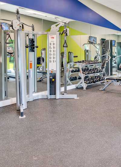 24-Hour Fitness Center w/ Contemporary Equipment at Lakeside Central Apartments in Brandon, Florida