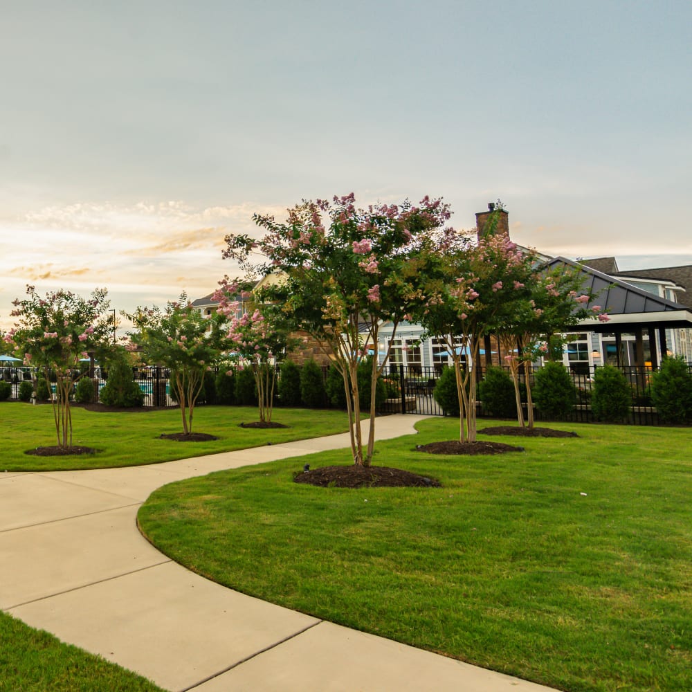 Tree-lined walkway to the clubhouse at Glenmoor Oaks in Moseley, Virginia