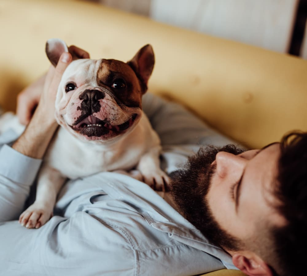 Resident and his Bulldog puppy relaxing on the couch in their new home at Skyline Terrace Apartments in Burlingame, California