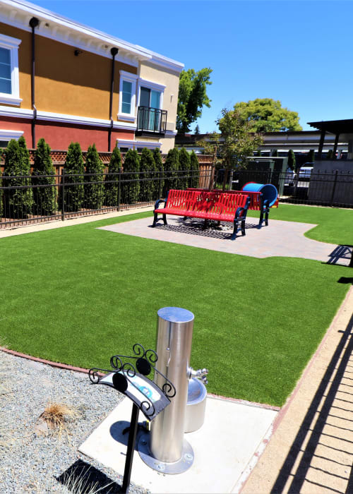 Onsite bark park with agility course at Ramblewood Apartment Homes in Fremont, California