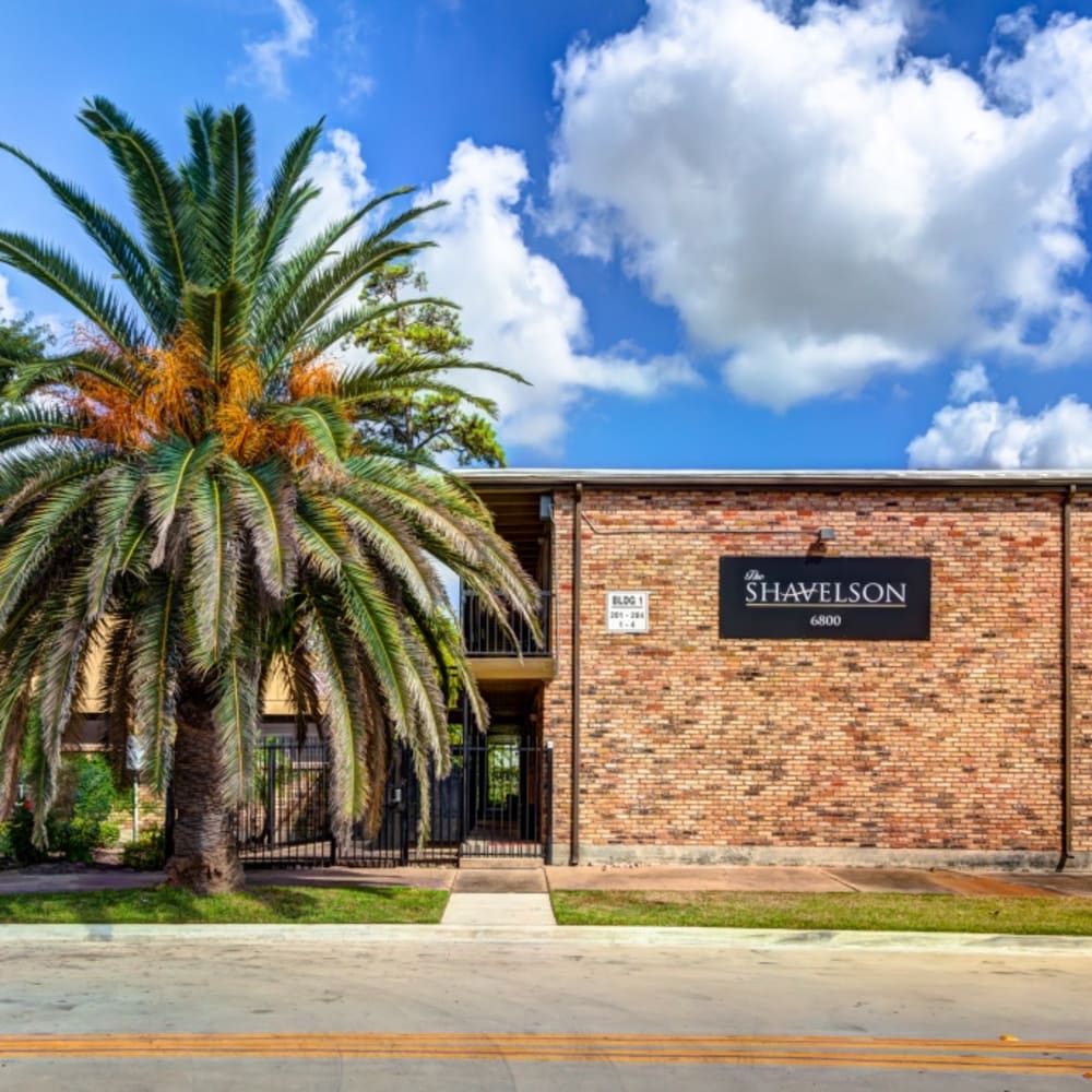 Palm tree and entrance sign at The Shavelson in Houston, Texas