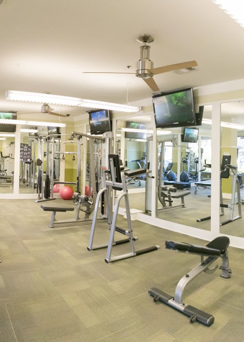 Large fitness center at Regency Johns Creek Walk in Johns Creek, Georgia