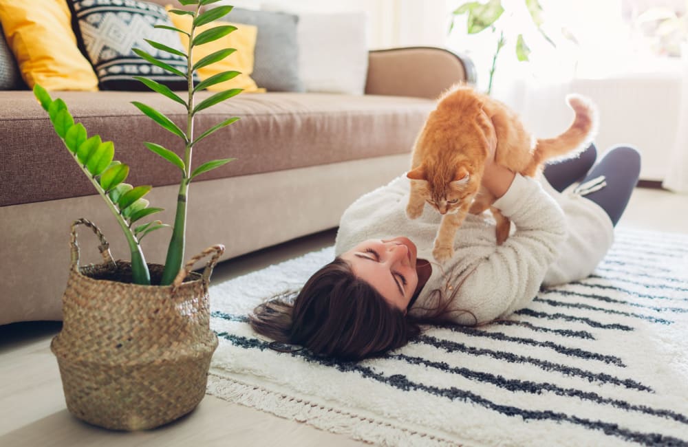 Resident laying down with her cat at Northfield Apartments in Bethlehem, Pennsylvania