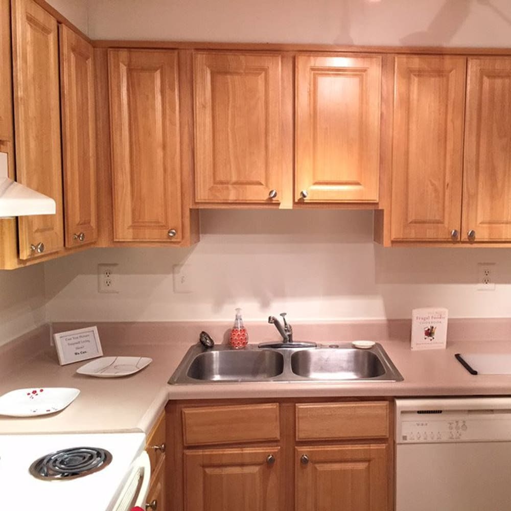 Fully equipped kitchen with double stainless-steel sink at The Villages at West Laurel in Richmond, Virginia