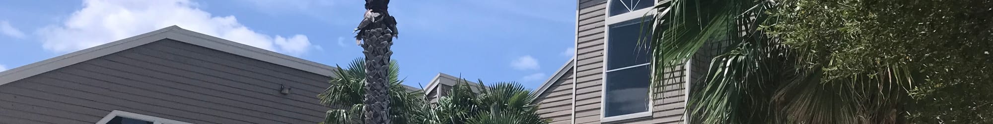 Information about the neighborhood near our apartments at Bridge at Terracina in Austin, Texas