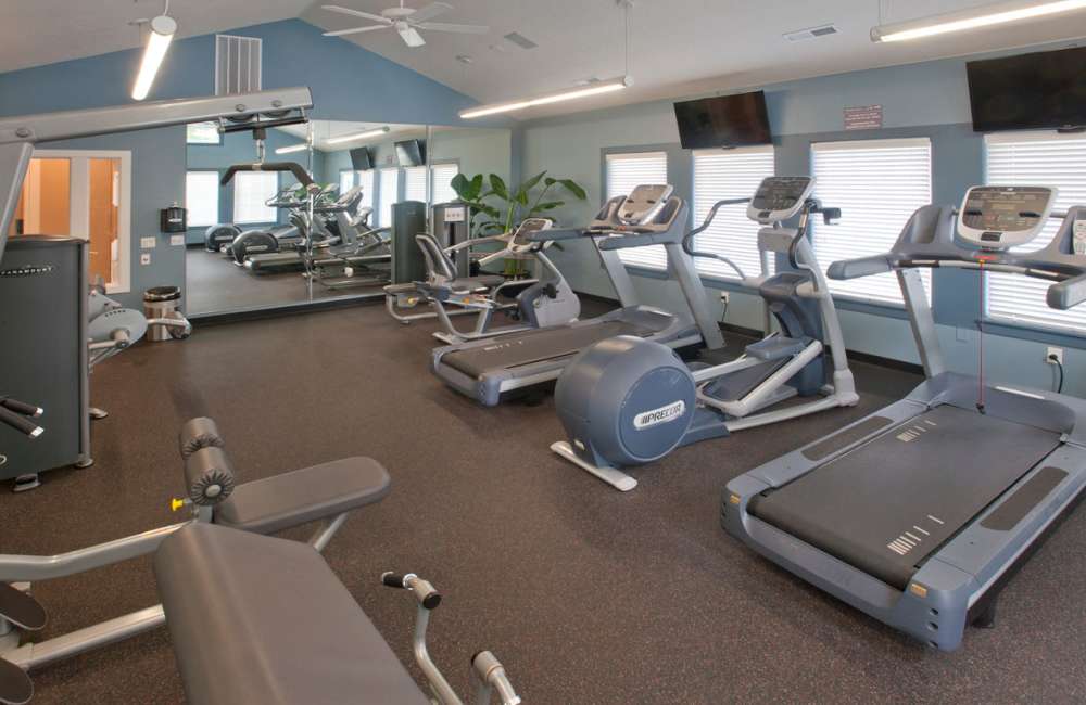 Gym 2