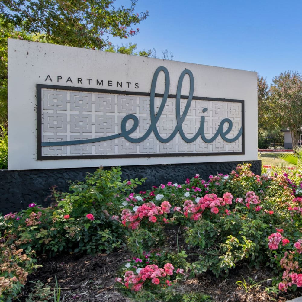 Landmark at Ellie Apartments in Austin, Texas