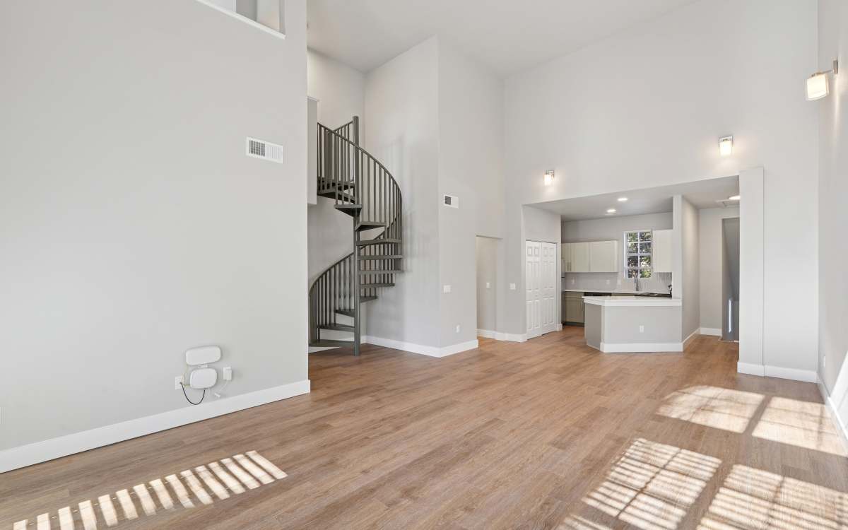 Camellia in Raleigh, North Carolina