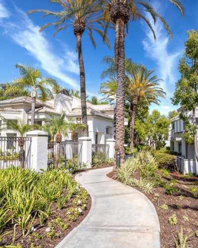 Palm tree lined pathway at Las Palmas Apartment Homes, Fullerton, California