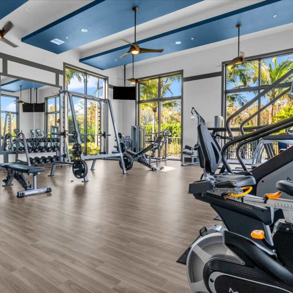 Modern fitness center with wood-style flooring at 81 West Apartments in Fort Myers, Florida