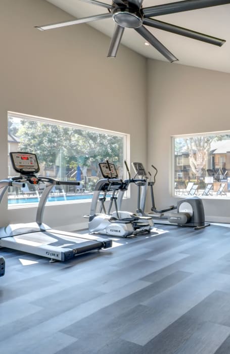 Newly Renovated Fitness Center with Large Windows Overlooking the Pool Area at Terra Nova Villas in Chula Vista