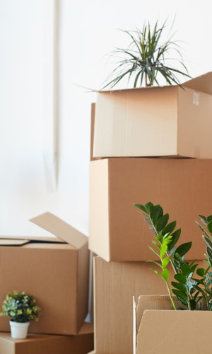 Boxes at Burlington Self Storage