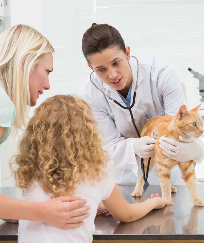 Managing your pet's health at Panama City Beach Animal Hospital