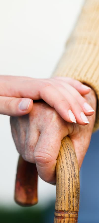 We offer companionship at The Bellettini in Bellevue, Washington