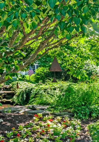 Lush greenery at Cloverdale Park Apartments in Saddle Brook, New Jersey