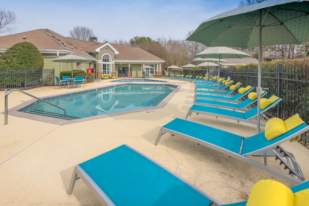Row of lounges for you and friends to layout on a gorgeous day by the pool at The Madison in Charlotte, North Carolina