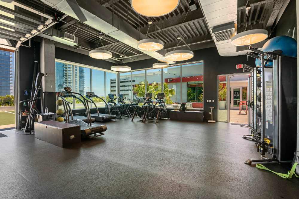 Marke1 Performance Center
