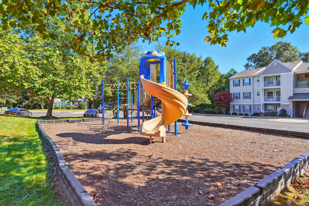 Playground at Monmouth Woods in King George,Virginia