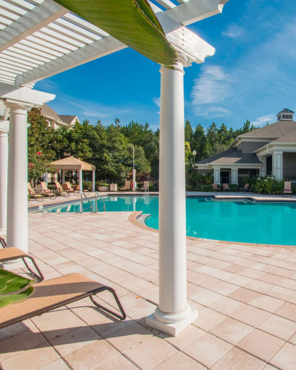 Beautiful trees surrounding outdoor pool at Landings at Four Corners in Davenport, Florida