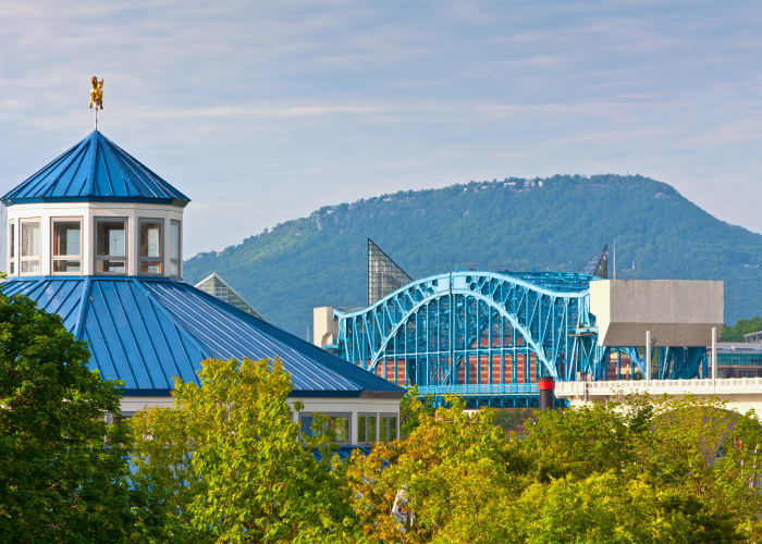 Activities in the Neighborhood at the Hixson, Tennessee