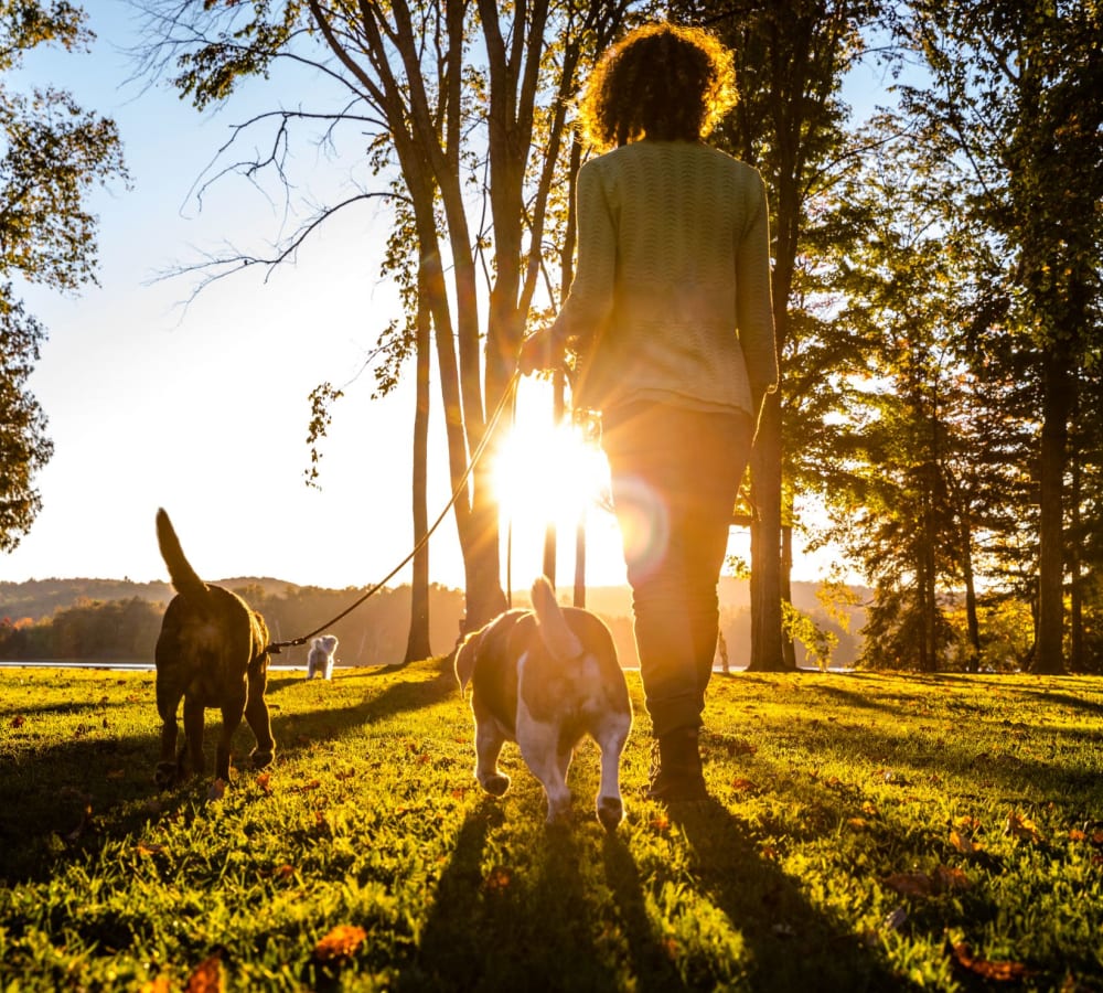 Resident walking her pups near Crawford Crossing Apartments in Turner, Oregon