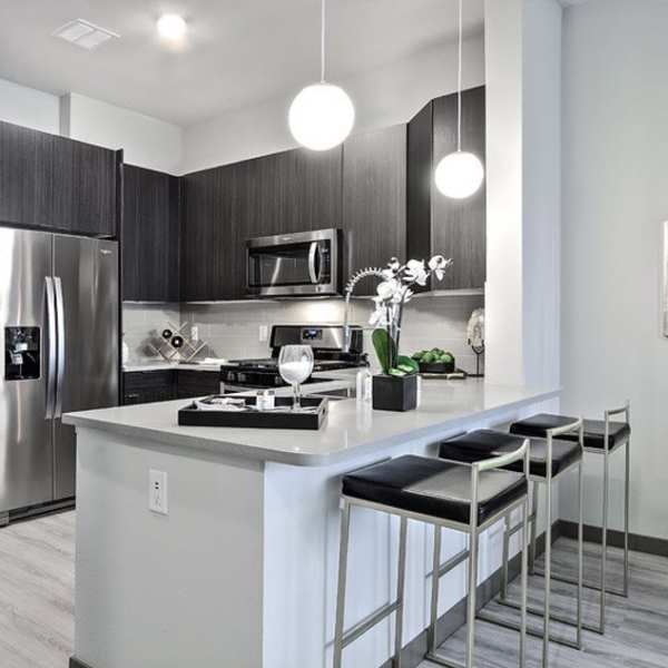 Modern kitchen with stainless steel appliances at Green Leaf Lotus in Las Vegas, Nevada